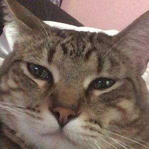 Meet your Posher, Jasmine